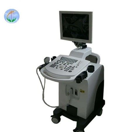 Black And White Full Digital Trolley Ultrasound Scanner Black And White Full Digital Trolley Ultrasound Scanner