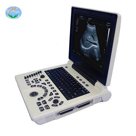High-end B/W Ultrasonic Diagnostic System